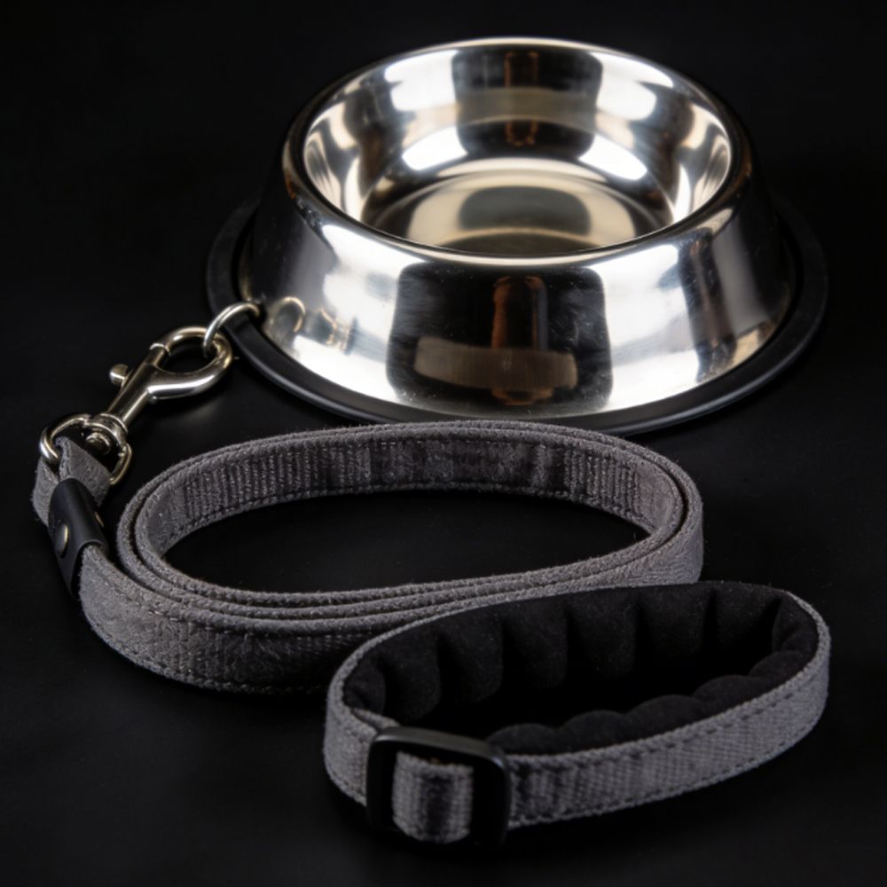Pet Supplies